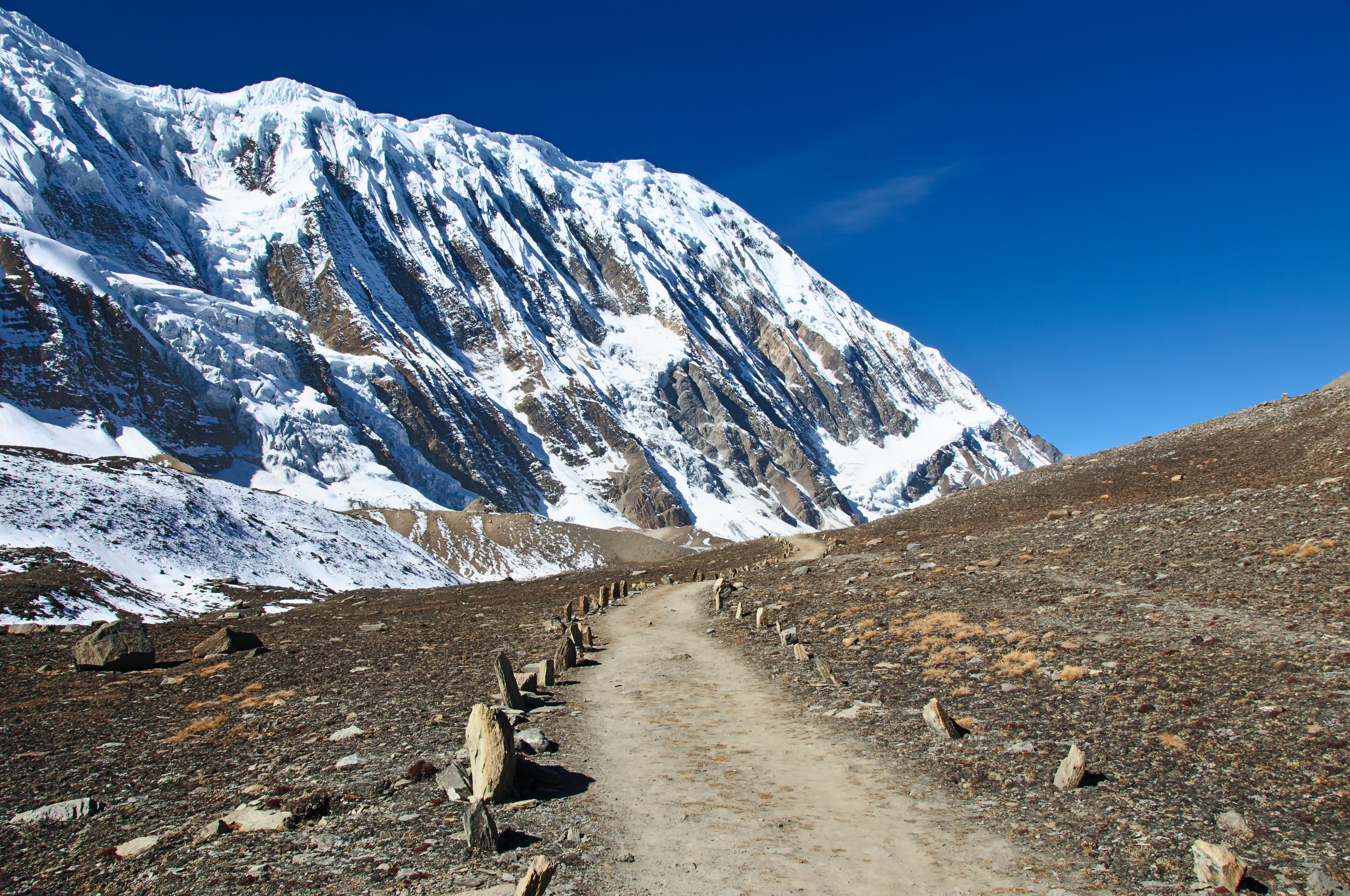 An image of an empty hiking trail in the Himalayas